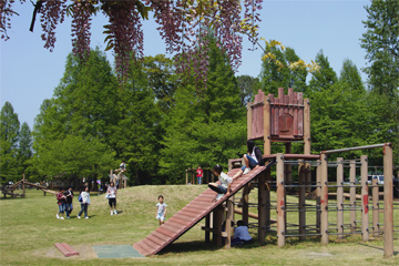 板倉中央公園の画像