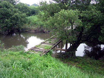 板倉町の魅力　水場景観［沈下橋］