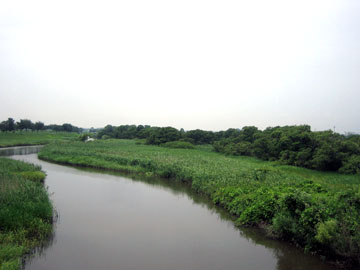 板倉町の魅力　水場景観［柳山］