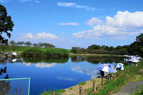 群馬の水郷2（ロケ地）